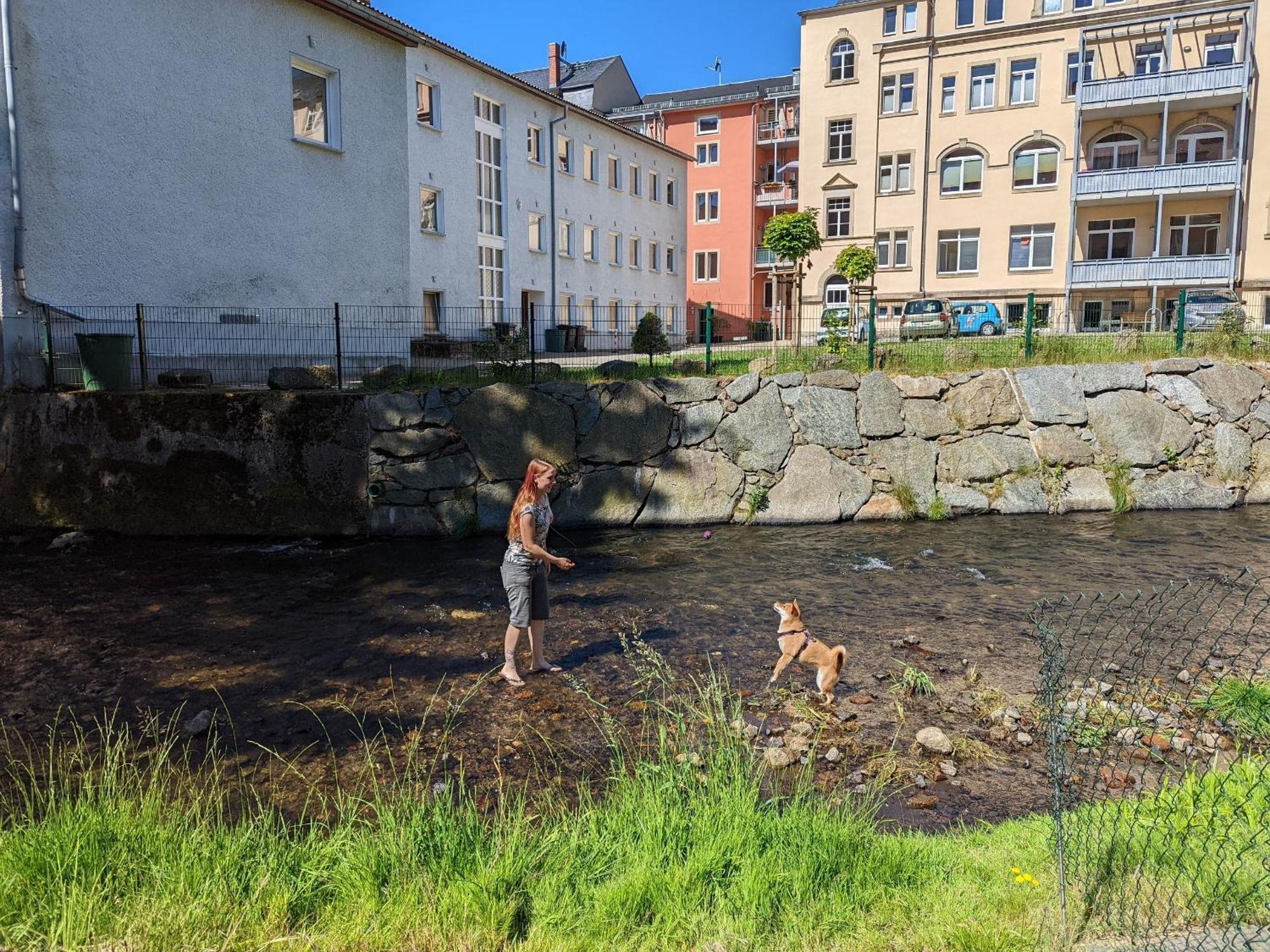 Ut - Urlaubsmagie - Urlaubstraum Mit Whirlpool, Pool & Sauna Sebnitz Exterior photo